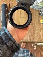 IMG_5985.jpeg