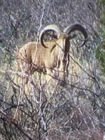 IMG_3850.jpeg