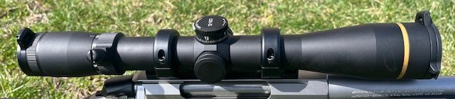 IMG_9185.jpeg