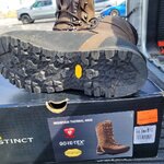 Cabelas Instinct01.jpg