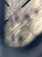IMG_8012.JPG
