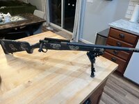 IMG_2962.jpeg