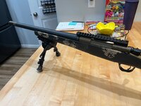 IMG_2964.jpeg