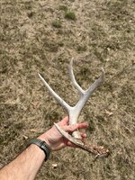 IMG_0855.jpeg