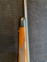 IMG_7813.jpeg