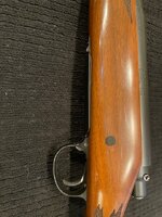 IMG_7815.jpeg