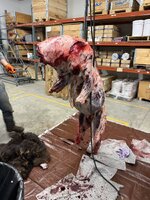 IMG_7923.jpeg