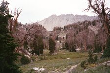 AA033.jpg
