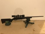 Tikka 2.jpg