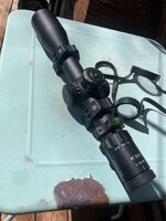 IMG_6890.jpeg