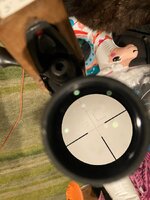 IMG_6638.jpeg