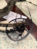 IMG_3328.jpeg