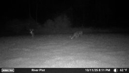 IMG_4097.jpeg IMG_4097.jpeg