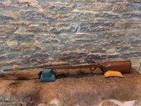 Ruger Lt Full Length.jpg