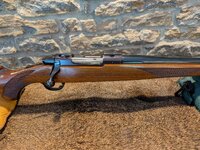 Ruger Rt Action.jpg
