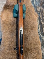 Ruger Lwr Forearm.jpg