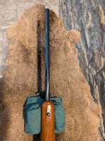 Ruger Lwr Brl.jpg