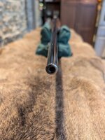 Ruger Muzzle.jpg
