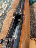 Ruger Action.jpg
