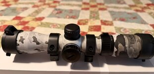 IMG_2747.jpeg