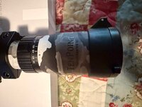 IMG_2749.jpeg