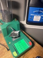 IMG_4066.jpeg