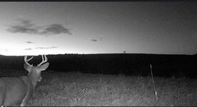 IMG_2469.jpeg