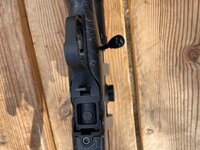 IMG_2406.jpeg