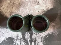 IMG_0470.jpeg