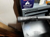IMG_9637.jpeg