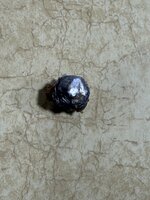 IMG_7979.jpeg