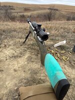 IMG_3741.jpeg