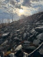 IMG_5875.jpeg
