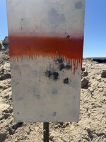 IMG_2896.jpeg