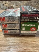 IMG_5397.jpeg