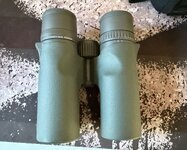 IMG_0481.jpeg