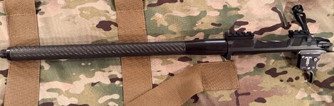 IMG_3205.jpeg