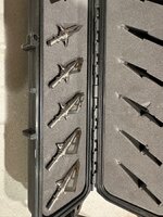 IMG_2768.jpeg