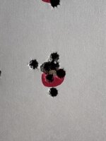 IMG_6850.jpeg IMG_6850.jpeg