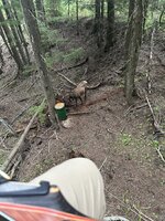 IMG_7652.jpeg IMG_7652.jpeg