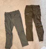 IMG_2501.jpeg