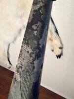 IMG_1377.jpeg