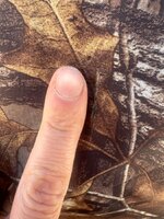 IMG_2791.jpeg