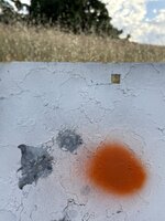 IMG_6906.jpeg
