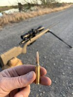 IMG_6911.jpeg