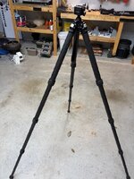 IMG_1207.jpeg