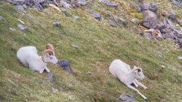 IMG_0887.jpeg