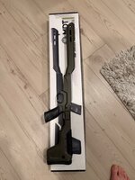 IMG_0359.jpeg