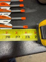 IMG_0002.jpeg