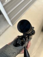 IMG_5449.jpeg